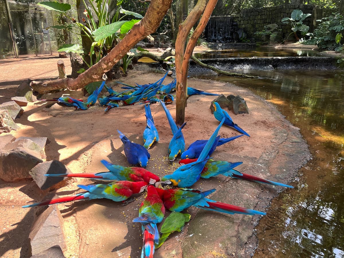 Ambiente de conservacao no Parque das Aves